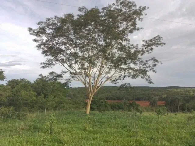 Imagem 3: Vende-Se Um Terreno no Município de Funilândia