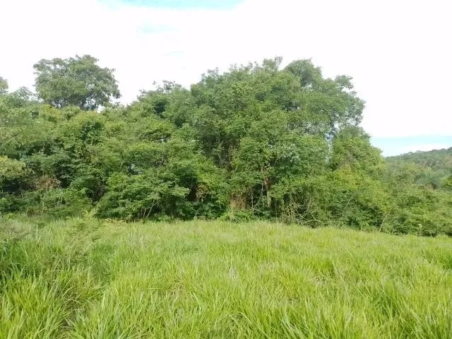 Imagem 2: Vende-Se Um Terreno no Município de Funilândia