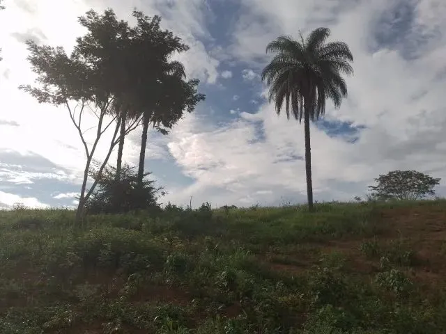 Imagem 5: Vende-Se Um Terreno no Município de Funilândia