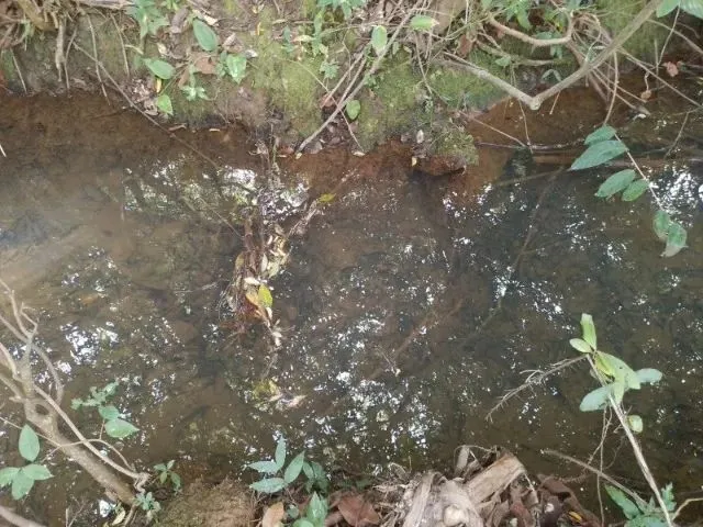 Imagem 7: Vende-Se Um Terreno no Município de Funilândia