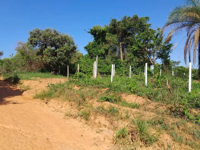 Imagem: Lotes no Bairro Atalaia