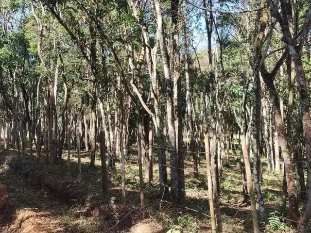 Imagem: Terreno Região de Caeté / Barão de Cocais
