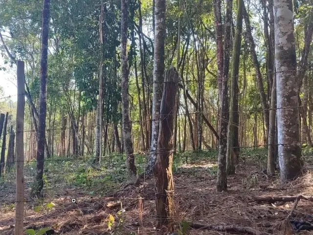 Imagem 3: Terreno Região de Caeté / Barão de Cocais