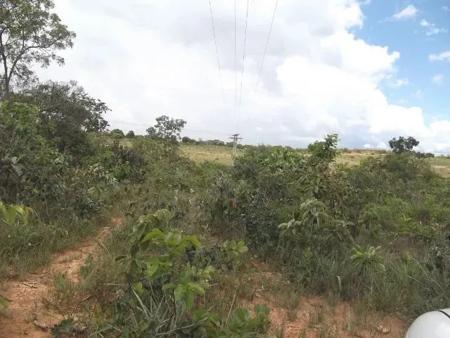 Imagem: Terreno de 5Ha, com Luz e Água Encanada