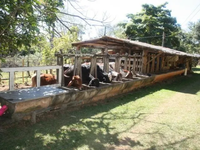 Imagem: Linda Fazendinha de 14,5 Hectares, Jaboticatubas