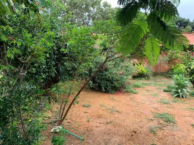 Imagem 10: Casa em Um Lote de 360M² com Vários Pés de Plantas Frutíferas, Jaboticatubas