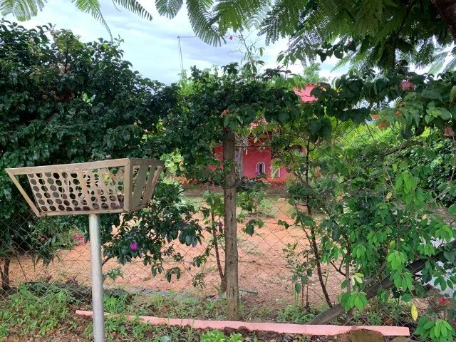 Imagem 3: Casa em Um Lote de 360M² com Vários Pés de Plantas Frutíferas, Jaboticatubas