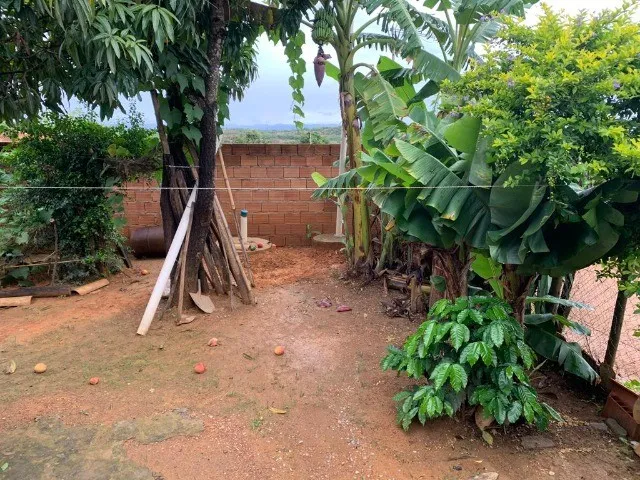 Imagem 5: Casa em Um Lote de 360M² com Vários Pés de Plantas Frutíferas, Jaboticatubas