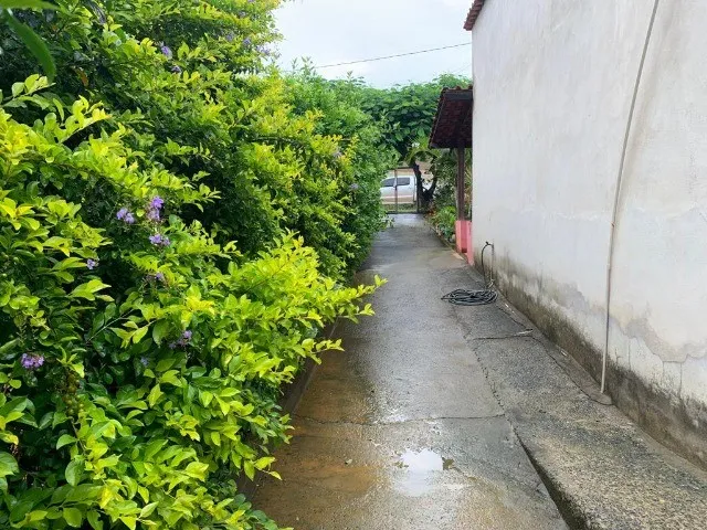 Imagem 4: Casa em Um Lote de 360M² com Vários Pés de Plantas Frutíferas, Jaboticatubas