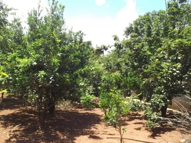 Imagem 8: Pertinho da Serra do Cipó, Maravilhoso Sitio de 4.500M²(Temos Varias Opções)