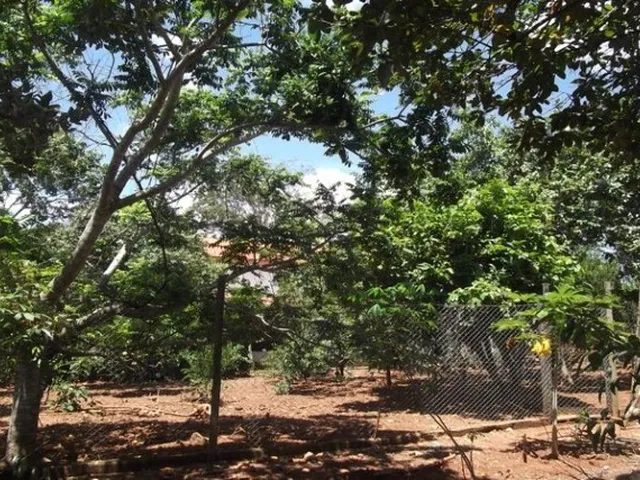 Imagem 10: Pertinho da Serra do Cipó, Maravilhoso Sitio de 4.500M²(Temos Varias Opções)