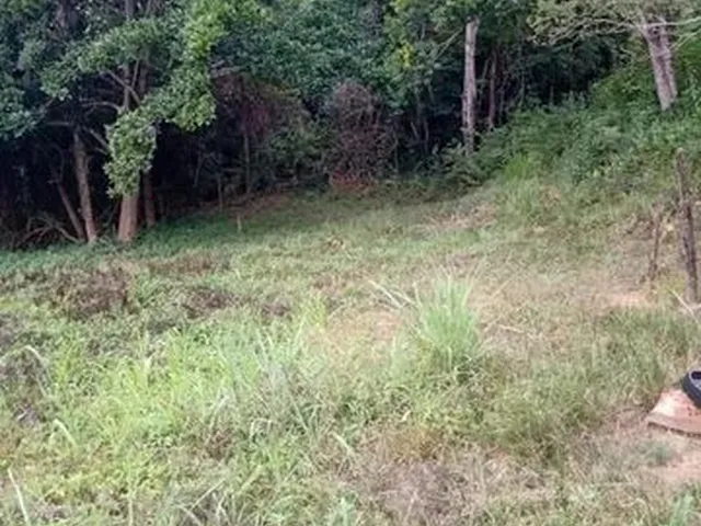Imagem: Terreno 65.000M², as Margens do Rio das