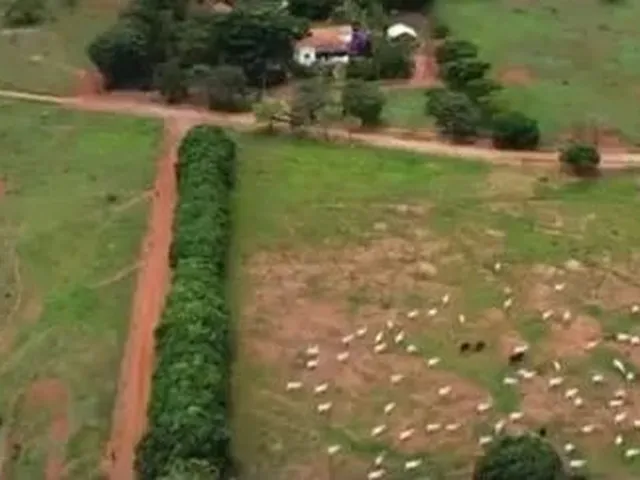 Imagem: Baldim/Mg - Fazenda de 1.552Ha - R$15.000,00