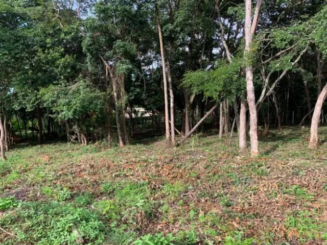 Imagem 10: Maravilhosa Chácara de 2.000 M², Serra do Cipó (Temos Varias Opções