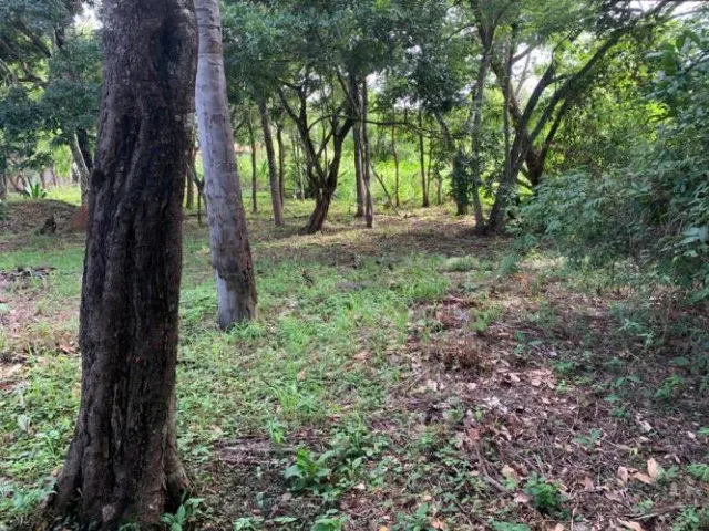 Imagem 5: Maravilhosa Chácara de 2.000 M², Serra do Cipó (Temos Varias Opções