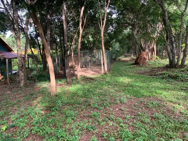 Imagem 3: Maravilhosa Chácara de 2.000 M², Serra do Cipó (Temos Varias Opções