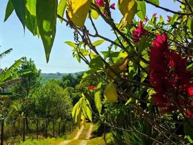 Imagem 16: Sítio em Condições Topázio