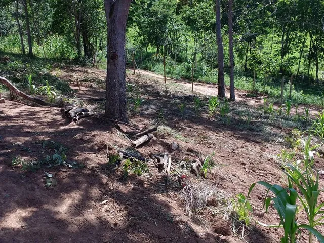 Imagem: Chácara em Taquaraçu de Minas