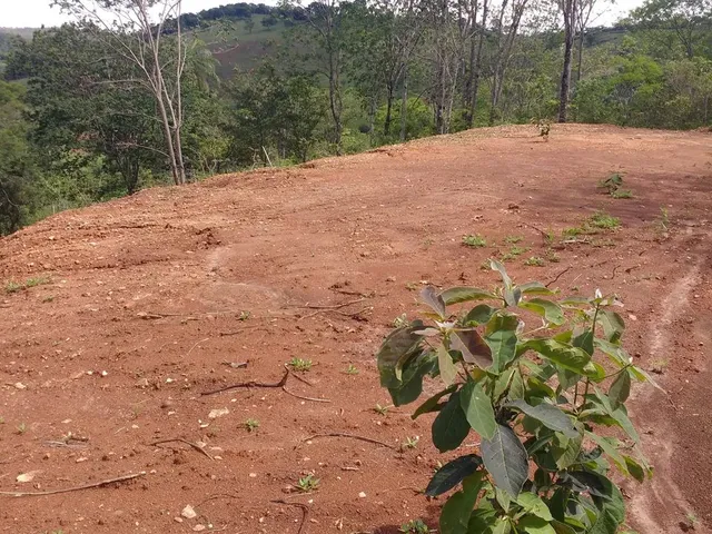 Imagem 2: Chácara em Taquaraçu de Minas