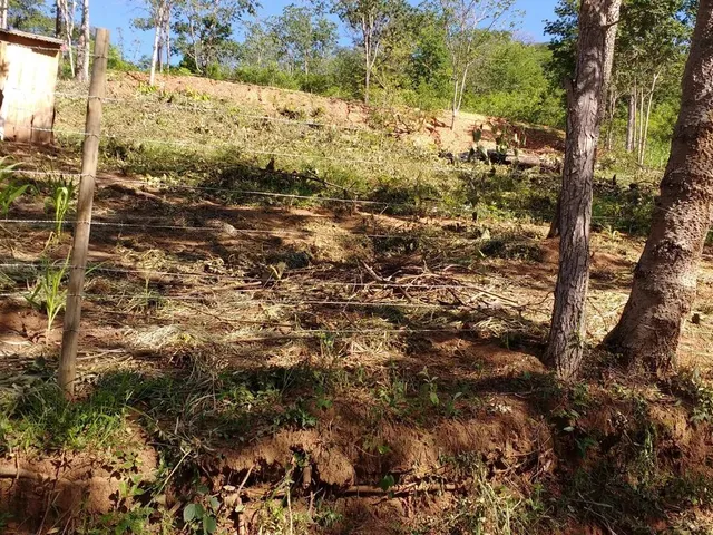 Imagem 3: Chácara em Taquaraçu de Minas