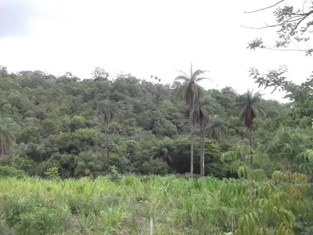 Imagem: Lote Rural de 36.000M ²,Belíssima Vista