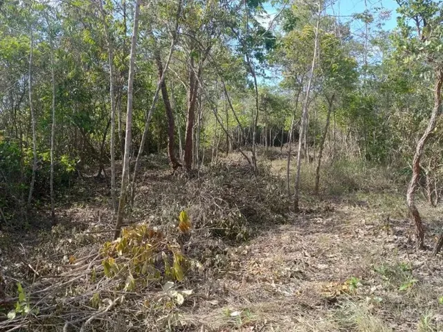 Imagem 4: Chácaras de 2.500 Metros em Esmeraldas