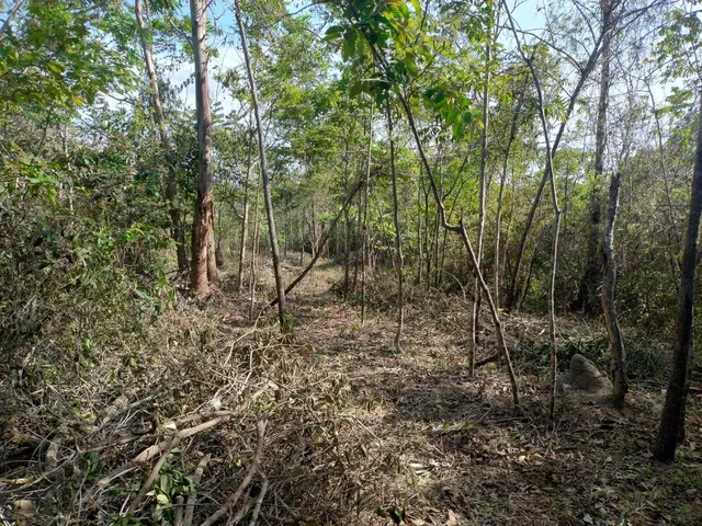 Imagem 5: Chácaras de 2.500 Metros em Esmeraldas