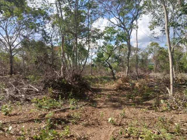 Imagem 9: Chácaras de 2.500 Metros em Esmeraldas