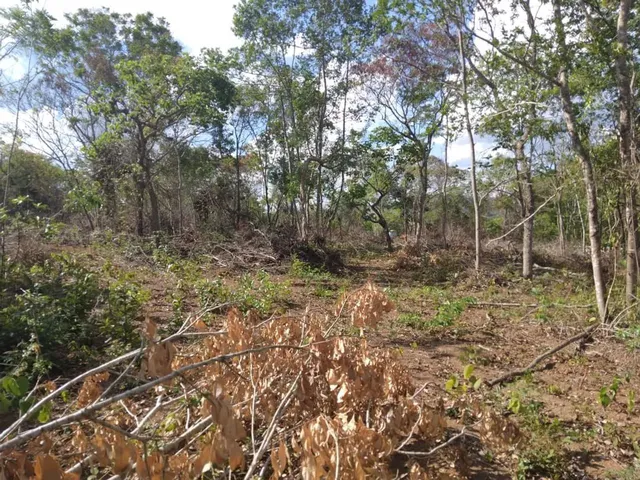 Imagem 11: Chácaras de 2.500 Metros em Esmeraldas