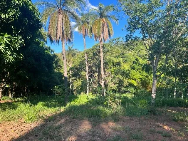Imagem 9: Sitio 20.000 M², Casa, Piscina, Área Gourmet, Agua Corrente, Cisterna, Poço Artesiano