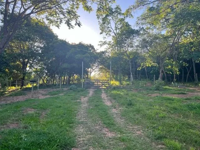 Imagem 4: Sitio 20.000 M², Casa, Piscina, Área Gourmet, Agua Corrente, Cisterna, Poço Artesiano