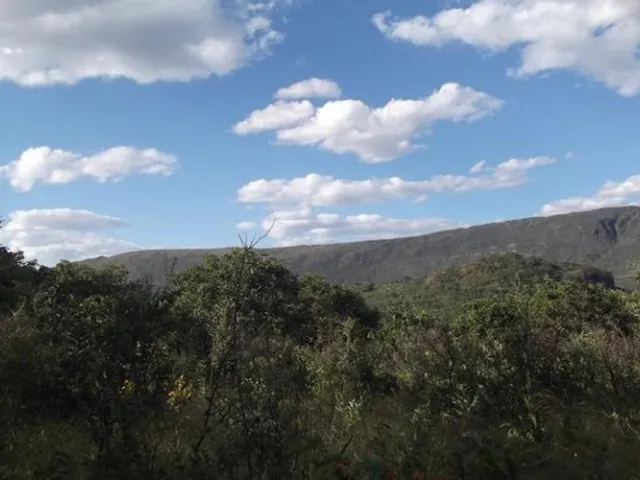 Imagem: Grande Oportunidade, Chácara de 10.000M²