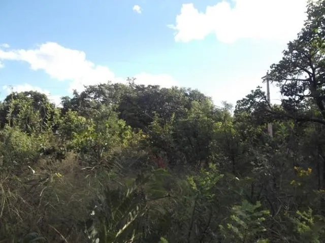 Imagem 3: Grande Oportunidade, Chácara de 10.000M² no ?Pé? da Serra do Cipó (Temos Varias