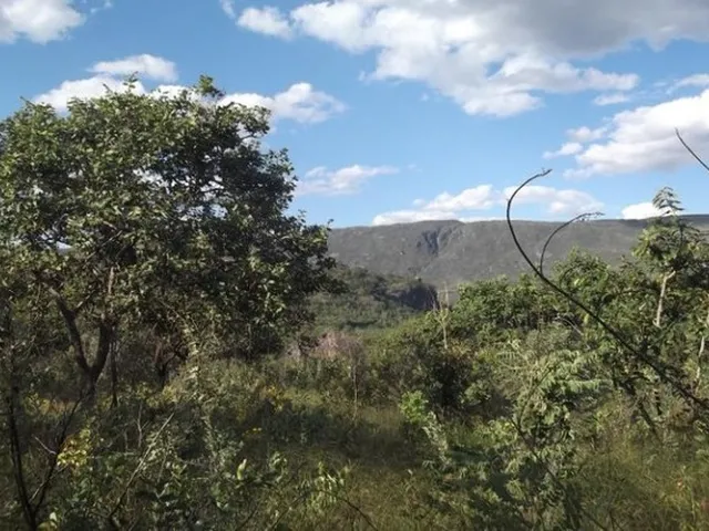 Imagem 8: Grande Oportunidade, Chácara de 10.000M² no ?Pé? da Serra do Cipó (Temos Varias
