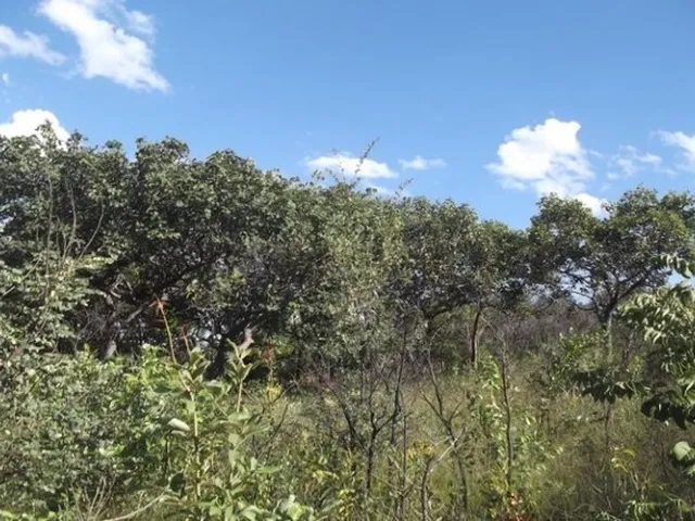 Imagem 7: Grande Oportunidade, Chácara de 10.000M² no ?Pé? da Serra do Cipó (Temos Varias