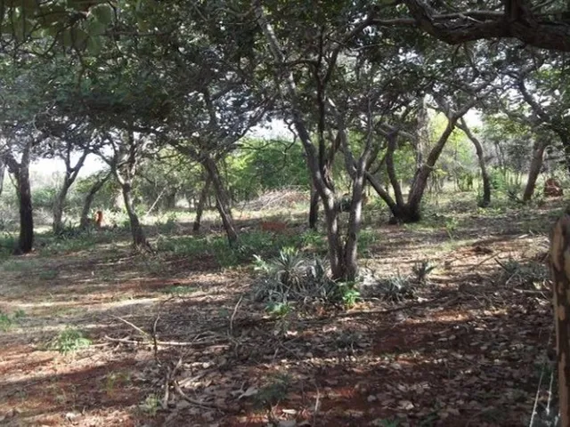 Imagem 9: Grande Oportunidade, Chácara de 10.000M² no ?Pé? da Serra do Cipó (Temos Varias