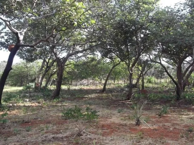 Imagem 10: Grande Oportunidade, Chácara de 10.000M² no ?Pé? da Serra do Cipó (Temos Varias