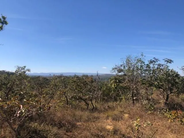 Imagem 5: Grande Oportunidade em São Jose do Almeida, Chácara de 10.000 M² (Temos Varias