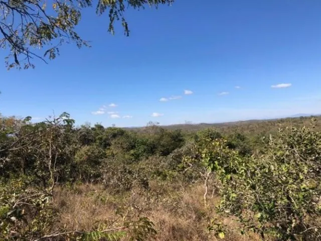 Imagem 3: Grande Oportunidade em São Jose do Almeida, Chácara de 10.000 M² (Temos Varias