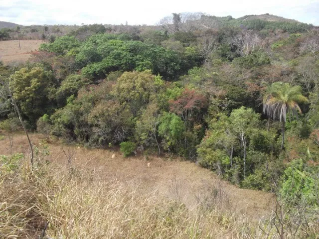 Imagem: Maravilhosa Fazendinha de 20.000M² com
