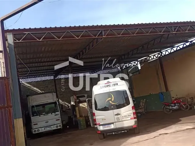 Imagem 4: Oporunidade de Lucratividade