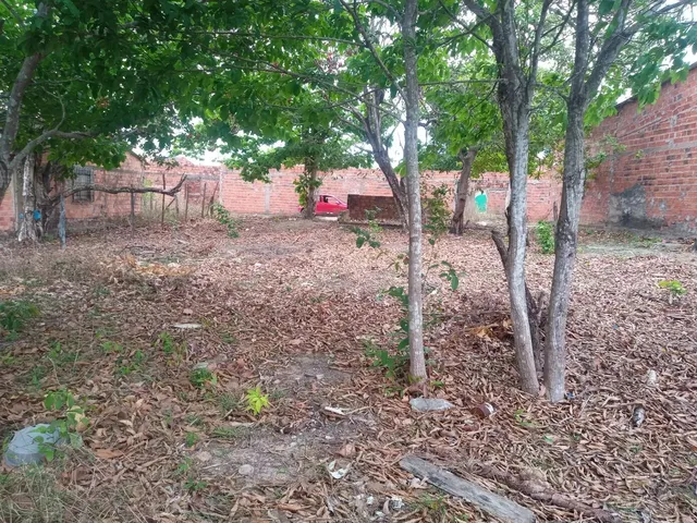 Imagem: Bom