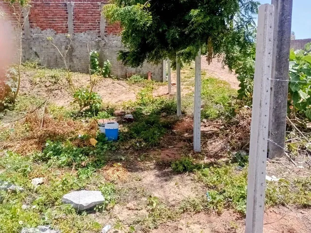 Imagem 6: Vendo Ou Troco Excelente Terreno na Praia