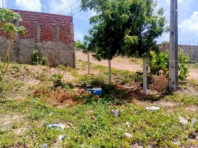 Imagem 9: Vendo Ou Troco Excelente Terreno na Praia