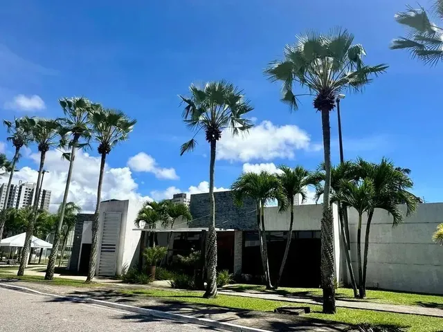 Imagem 9: Condomínio Ponta Negra Boulevard, Lote com 480 M2, Esquina - R$1.200.000,00 Whatsapp:84 9