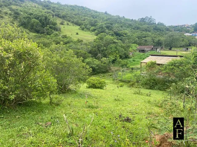Imagem 2: Terreno em Ambrósio 2492.23m²