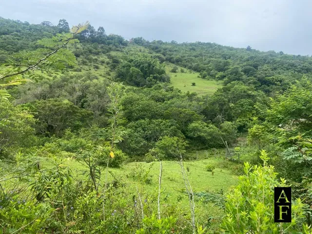 Imagem 5: Terreno em Ambrósio 2492.23m²