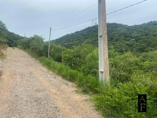 Imagem 4: Terreno em Ambrósio 2492.23m²