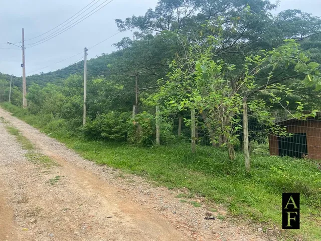 Imagem 6: Terreno em Ambrósio 2492.23m²