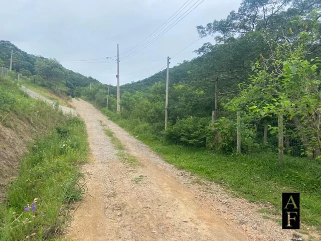 Imagem 7: Terreno em Ambrósio 2492.23m²